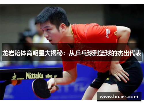 龙岩籍体育明星大揭秘:从乒乓球到篮球的杰出代表 龙岩籍体育明星大揭秘:从乒乓球到篮球的杰出代表