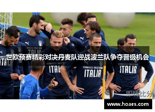 世欧预赛精彩对决丹麦队迎战波兰队争夺晋级机会